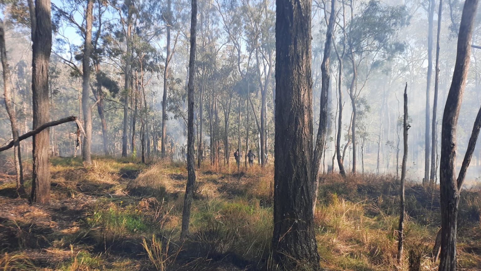 Projects Boonah and District Landcare