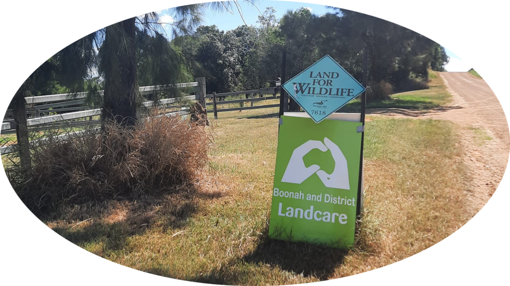 Why are Cane Toads a Problem for Farmers? Boonah and District Landcare