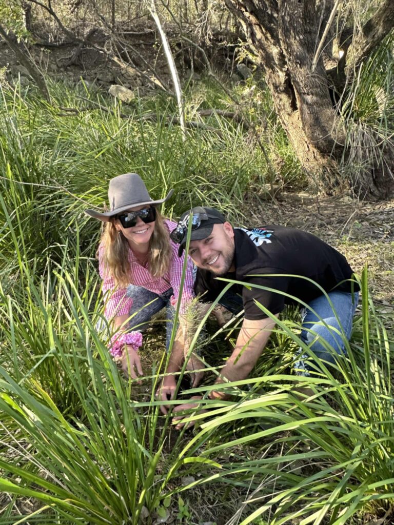 tree planting