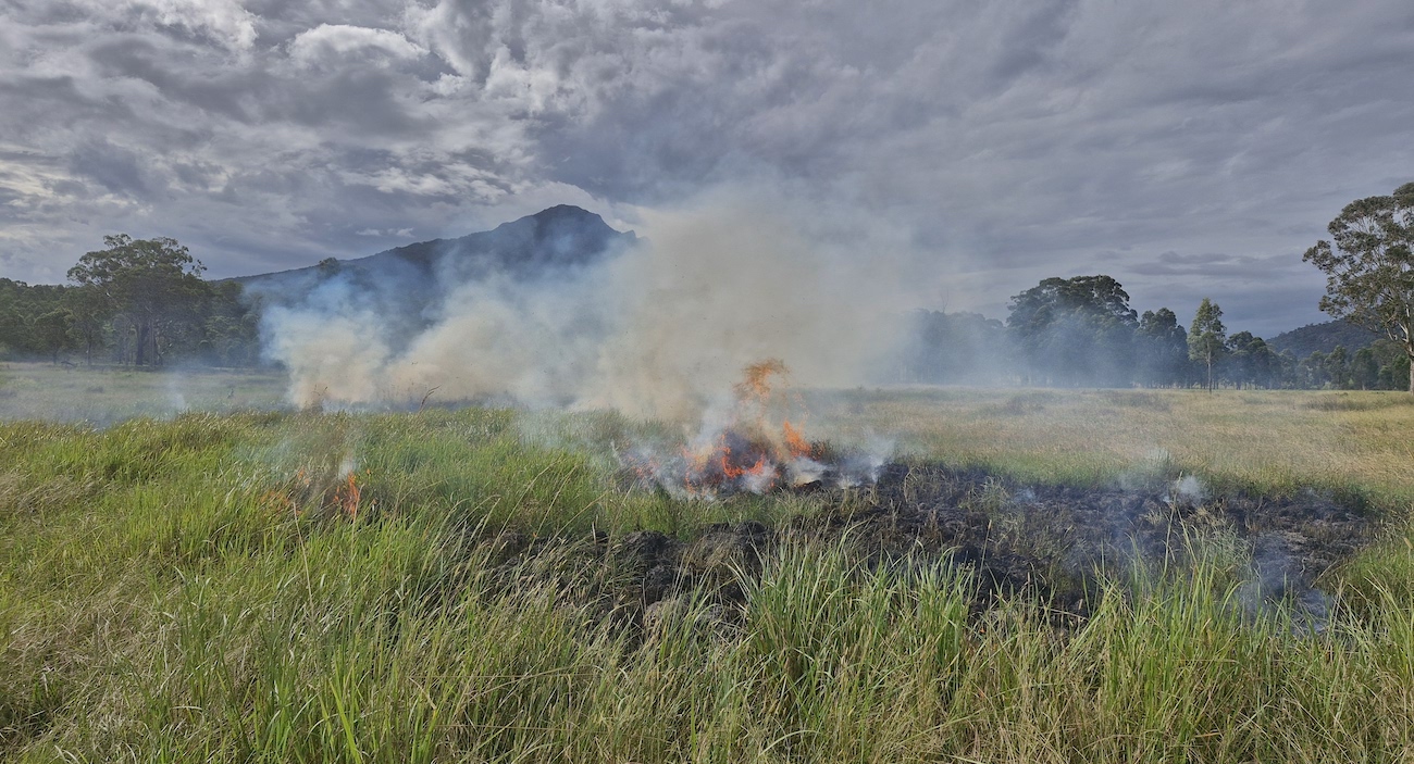 This blady grass is burning perfectly in rain-soaked soil, clearing the way for healthier Country. Blady grass is a native grass but doesn’t belong in these paddocks. It offers little for grazing and when left unchecked, becomes a built up, hot burning fuel load that makes even the right fire harder to manage.