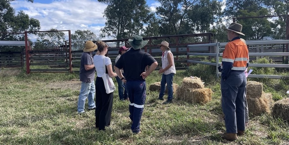 Verena talking with guests at Yarn on a Farm
