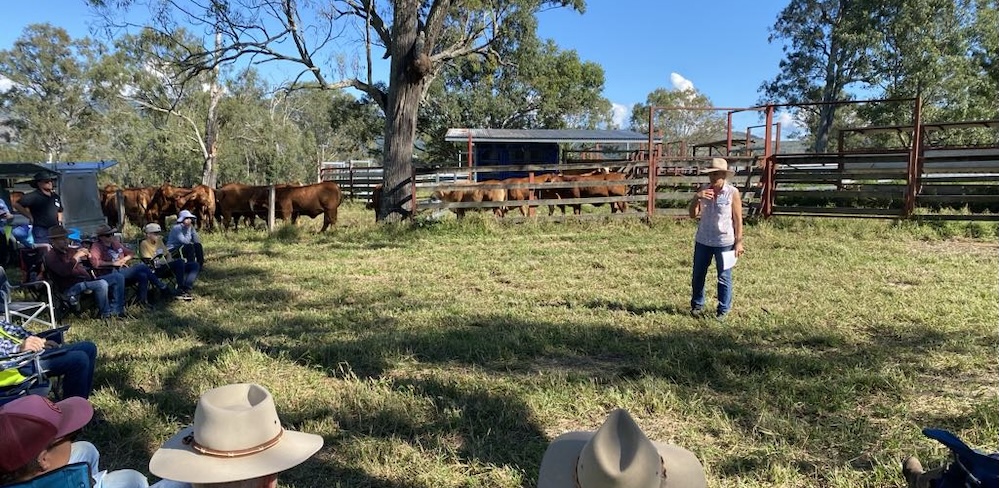 Verena talking guests at Yarn on a Farm