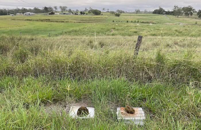Boonah and District Landcare