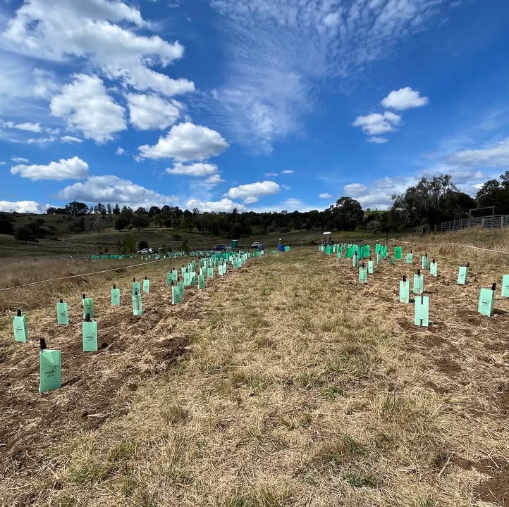 Boonah and District Landcare